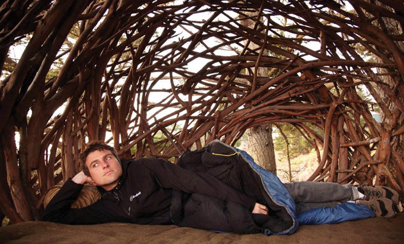 treebonesNest